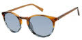 Ted Baker TMS173 Amber (AMB) Sunglasses - Color Image
